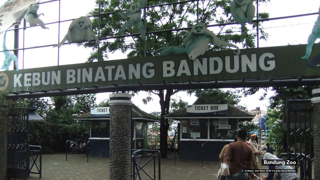 Zen Rooms Bukit Tunggul Bandung Kültér fotó